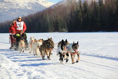Nicolina Tyler — The Ceremonial Start of the iditarod, Pt 2