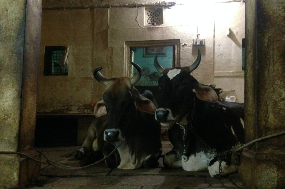 Nicolina Tyler — A Sensory Synopsis of Varanasi