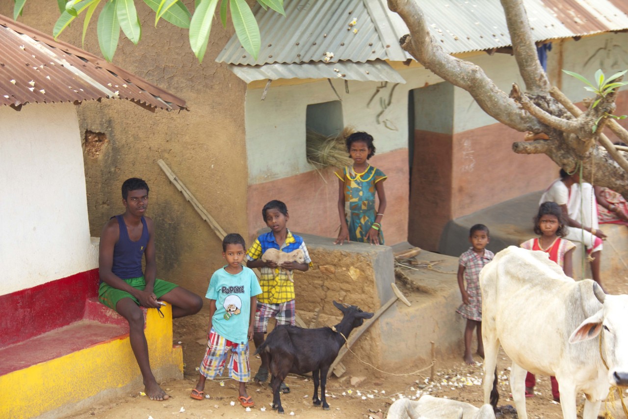 Nicolina Tyler — Jhilimili, Jangal Mahal, India