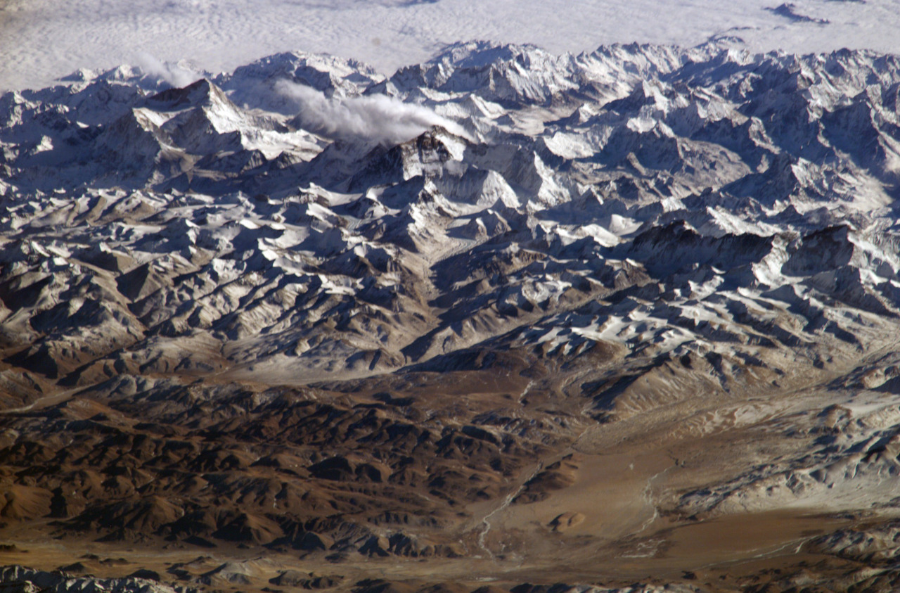 Nicolina Tyler — Jamyang’s story