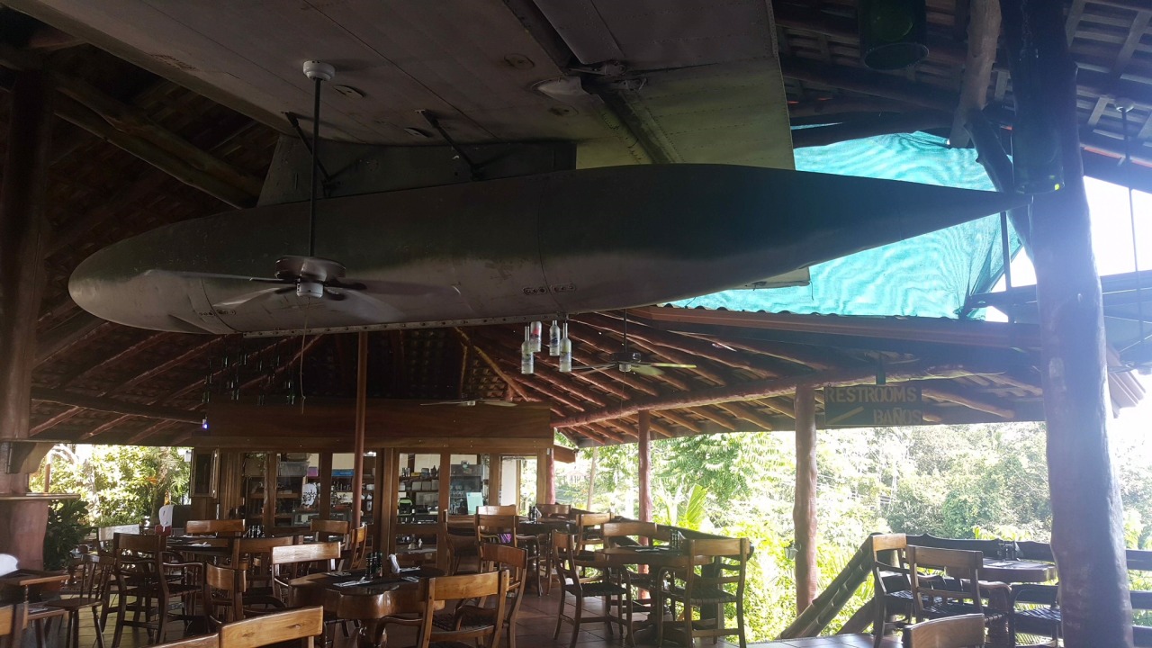 Nicolina Tyler — The flavor of Manuel Antonio