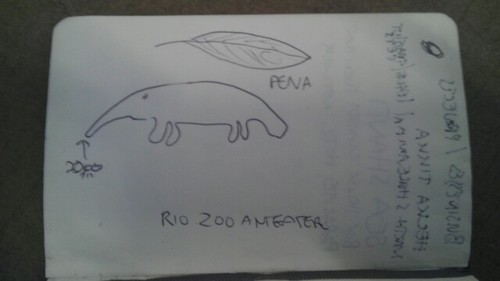 Nicolina Tyler — Delight and sadness at the Rio Zoo