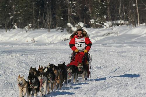 Nicolina Tyler — My Mother is a Bad Ass- The Iditarod