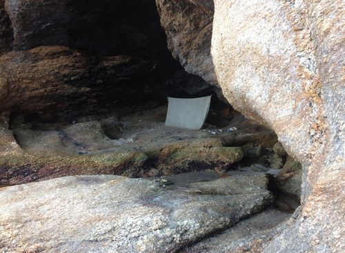 Nicolina Tyler — Niteroi, Caves and the Mothership