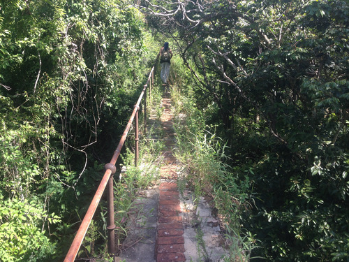 Nicolina Tyler — Where we’re going, we don’t need roads, Ilha Grande, Pt 2